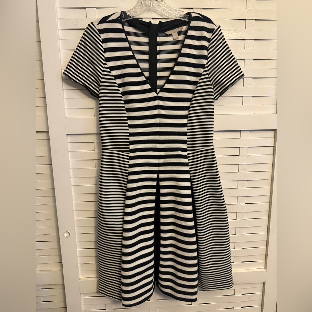 Banana Republic Black and White Striped Dress
